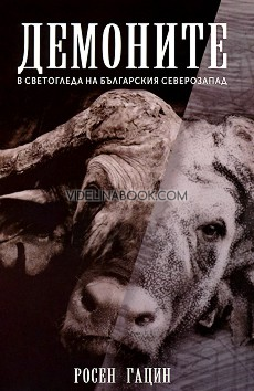Демоните в светогледа на българския северозапад, Росен Гацин