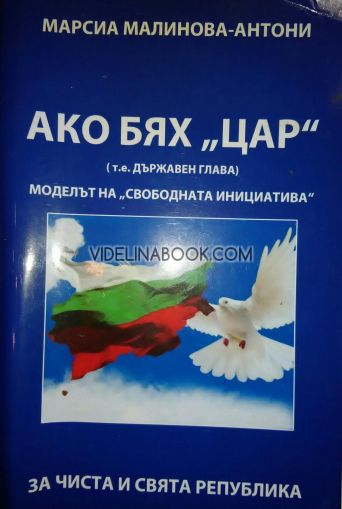 Ако бях "Цар" (т.е. държавен глава): Моделът на "свободната инициатива"