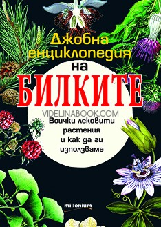 Джобна енциклопедия на билките: Всички лековити растения и как да ги използваме