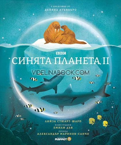 Синята планета, Лийза Стюарт-Шарп