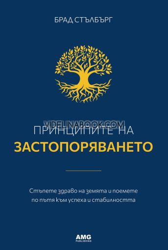 Принципите на застопоряването: Стъпете здраво на земята и поемете по пътя към успеха и стабилността, Брад Стълбърг