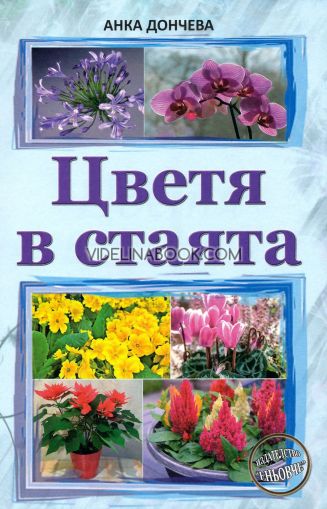 Цветя в стаята, Анка Дончева