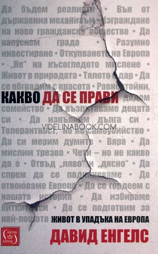 Какво да се прави: Живот в упадъка на Европа, Давид Енгелс