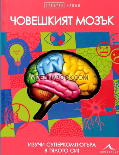 Отвътре навън: Човешкият мозък. Изучи суперкомпютъра в тялото си, Лиан Кинг