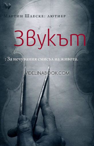 Звукът: За нечувания смисъл на живота, Мартин Шлеске