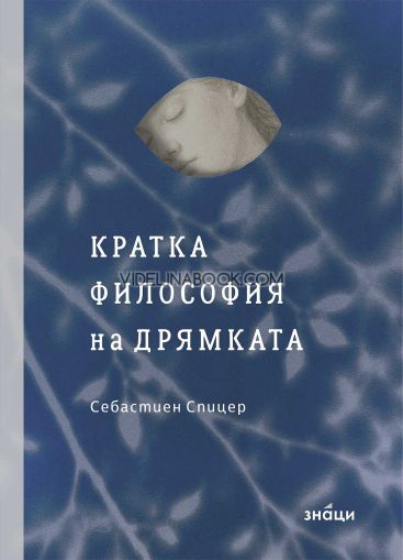 Кратка философия на дрямката, Себастиен Спицер