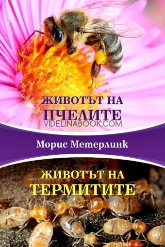 Животът на пчелите: Животът на термитите, Морис Метерлинк