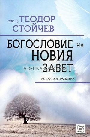 Богословие на Новия Завет, Теодор Стойчев