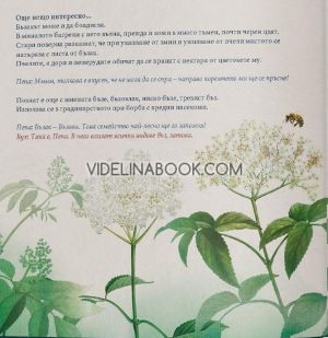 Колекция Билки, колектив