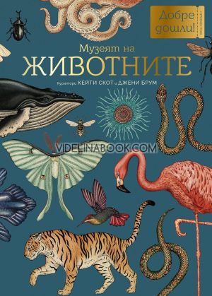 Музеят на животните, Кейти Скот, Джени Брум