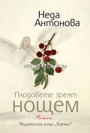Плодовете зреят нощем, Неда Антонова