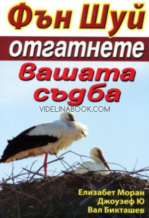 Фън Шуй: Отгатнете вашата съдба, Елизабет Моран, Джоузеф Ю, Вал Бикташев