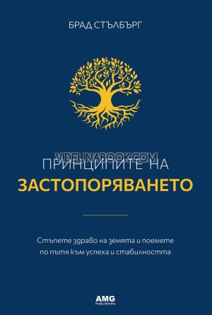 Принципите на застопоряването: Стъпете здраво на земята и поемете по пътя към успеха и стабилността, Брад Стълбърг