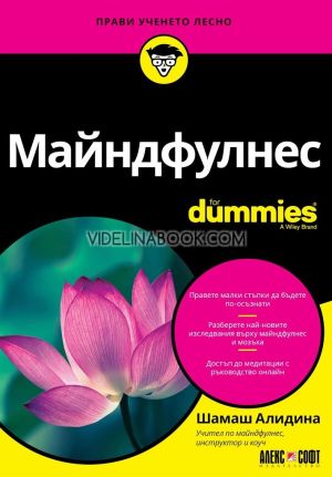 Майндфулнес: For Dummies, Шамаш Алидина