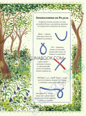 Наръчник за забравени умения, Илейн Батист, Натали Кроули