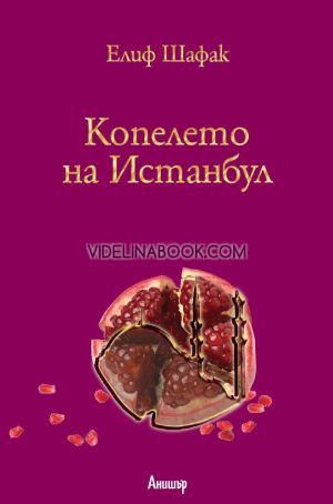 Копелето на Истанбул, Елиф Шафак