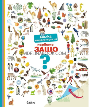 Малка енциклопедия на първите Защо, Емили Бомон