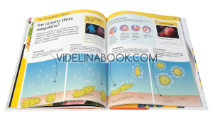 Защо? Човешкото тяло, колектив