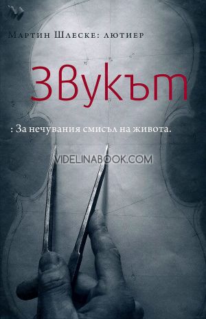 Звукът: За нечувания смисъл на живота, Мартин Шлеске