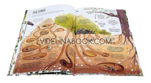 Моята първа книга за природата,  Камила де ла Бедойер, Джейн Нюланд