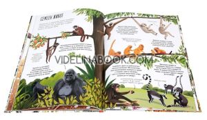 Моята първа книга за природата,  Камила де ла Бедойер, Джейн Нюланд