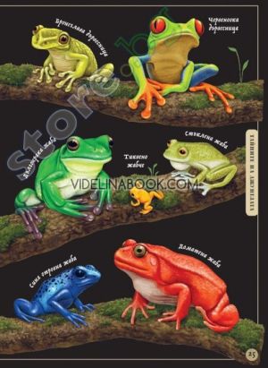 Тайнственият свят на природата: Пътеводител из миналото на нашата планета, Саския Гуин