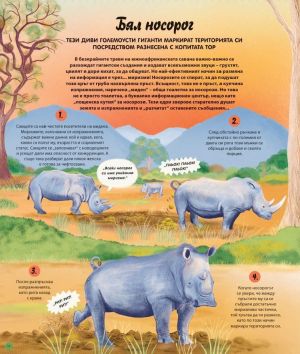 Как говорят животните и растенията: 48 истории за тайния език на природата, Габи Доуней