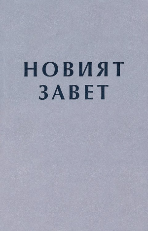 Новият Завет, синя корица