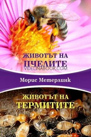 Животът на пчелите: Животът на термитите, Морис Метерлинк